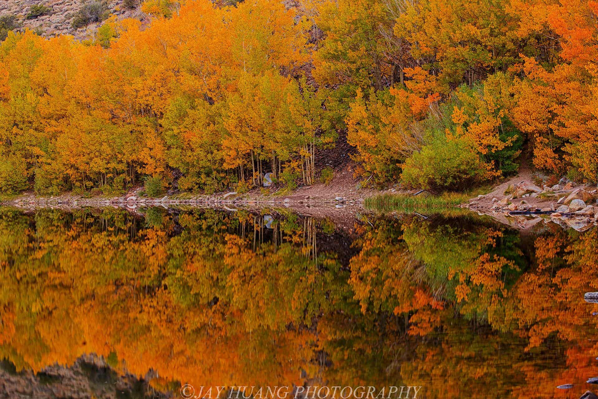 Fall Colors Reflections by Jay Huang