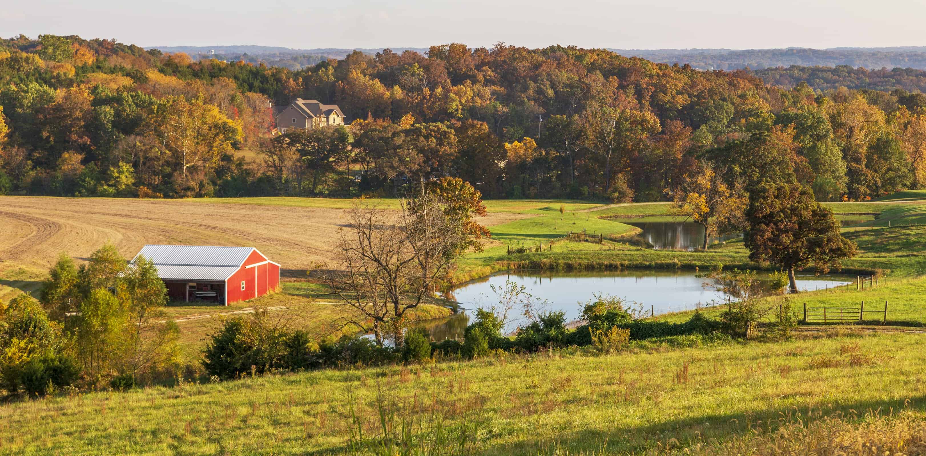 Fall - Ozarks - Baltimore Sett... by Richard Ricciardi