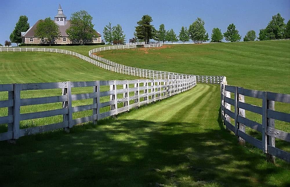 Lexington, Kentucky - Donamire Farm by David Paul Ohmer