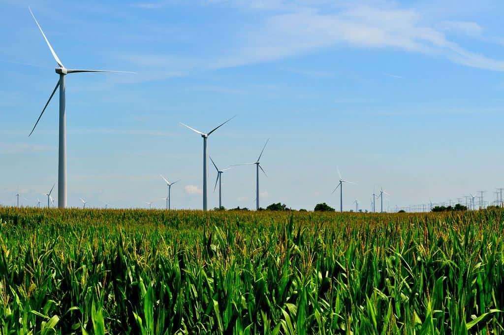 Illinois Wind Farm by shock264