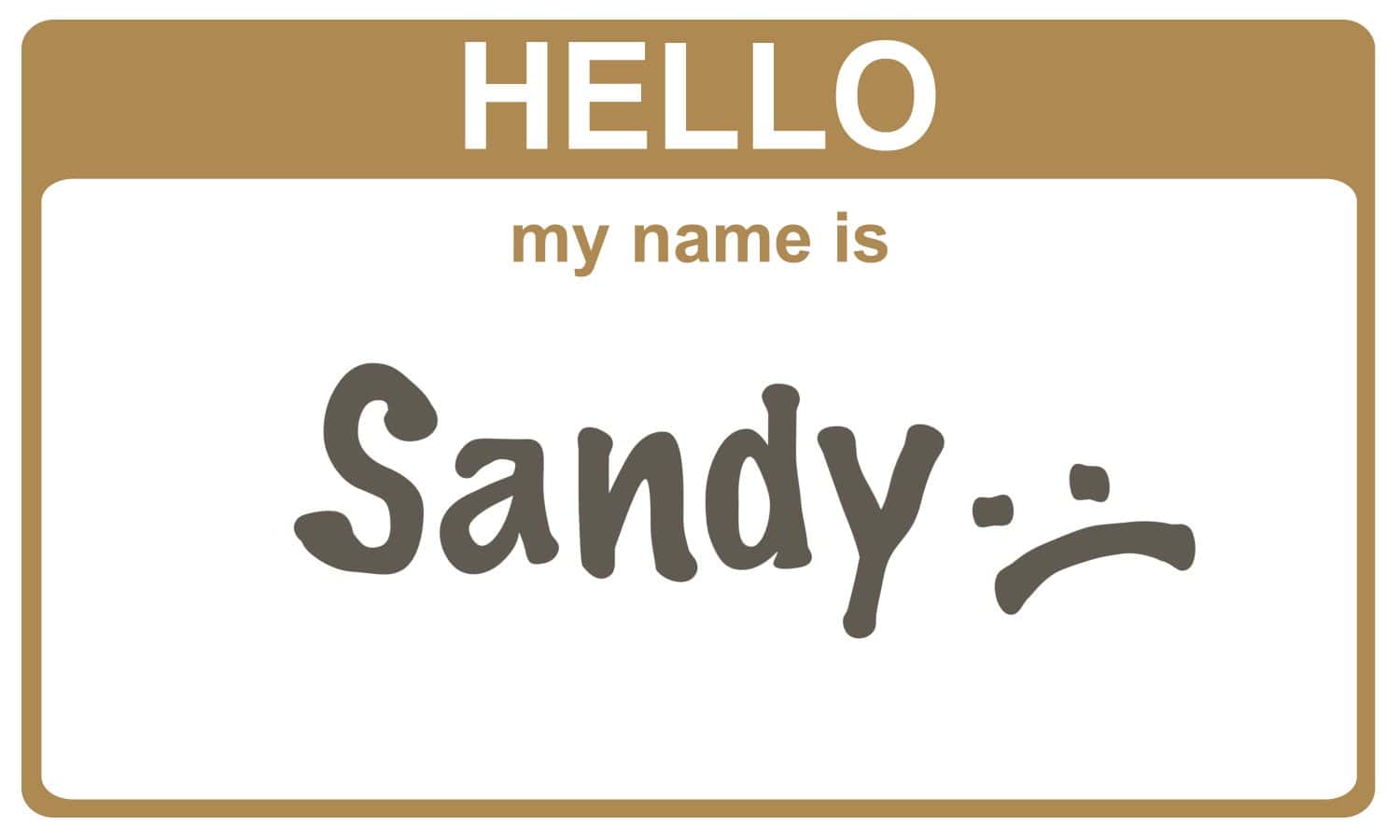 hello my name is sandy sticker