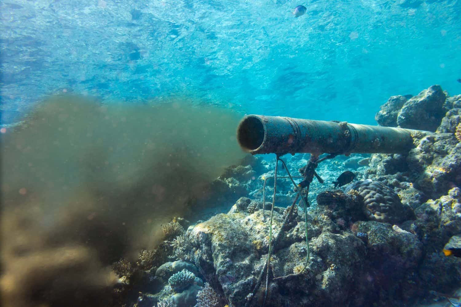 underwater sewer wastewater pipe in coral reef enviroment nature protection damage pollution sea ocean concept background