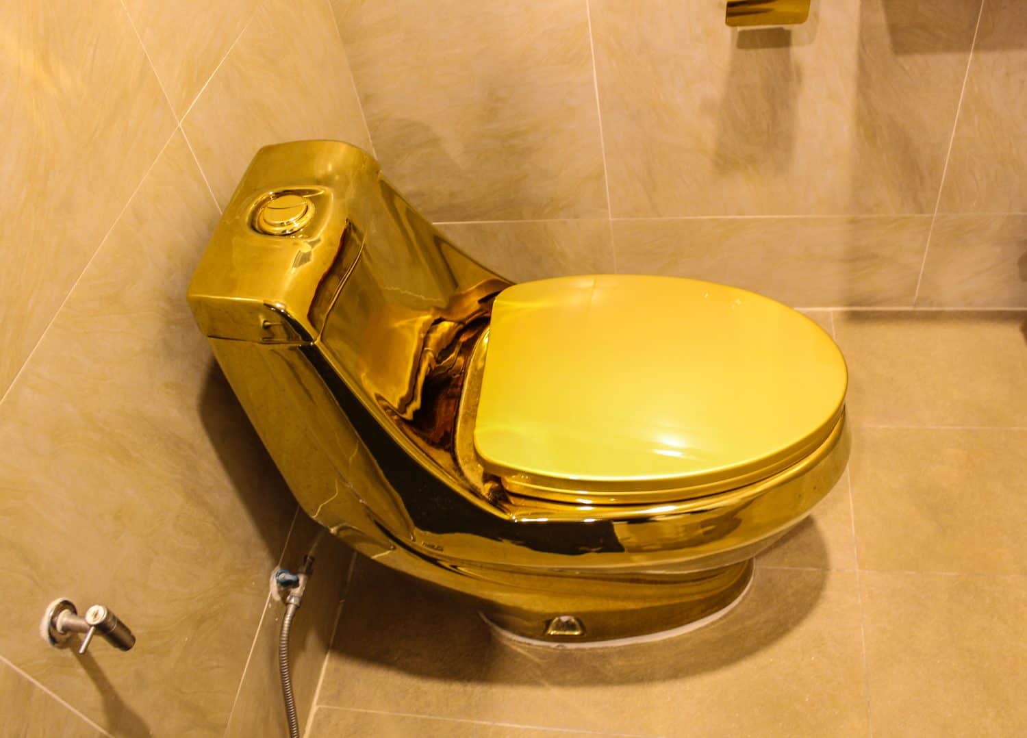 Find aflush toilet bathroom with gold, ventilators, draining things, gradual flow, drainage, waste, waste, a few minutes.