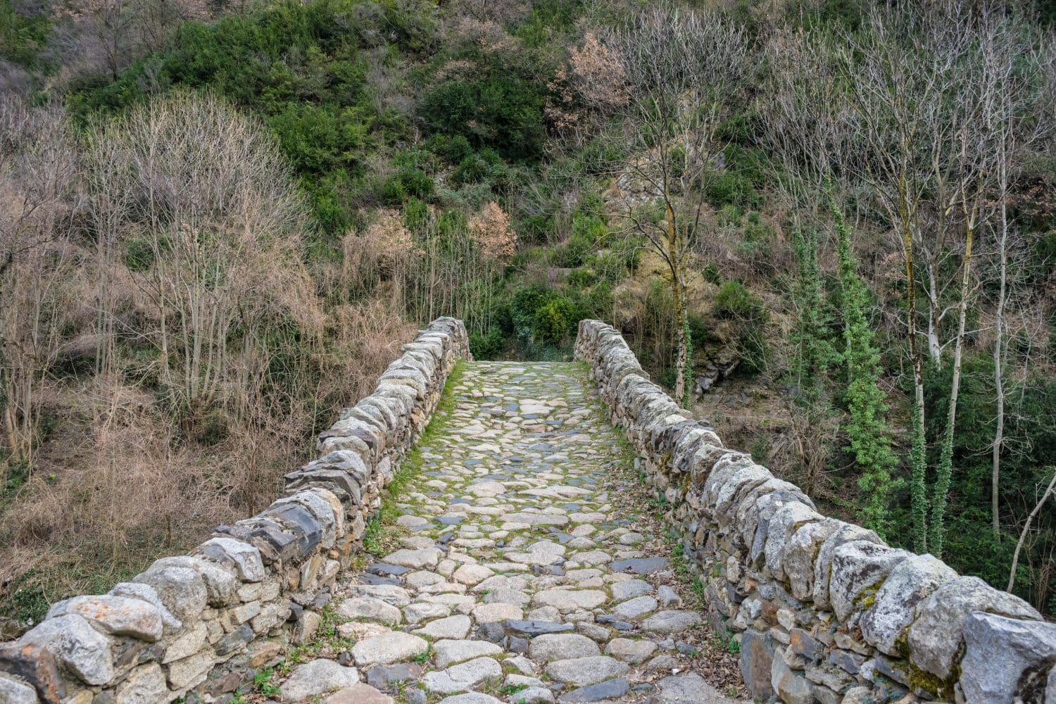 An old roman bridge in Andorra