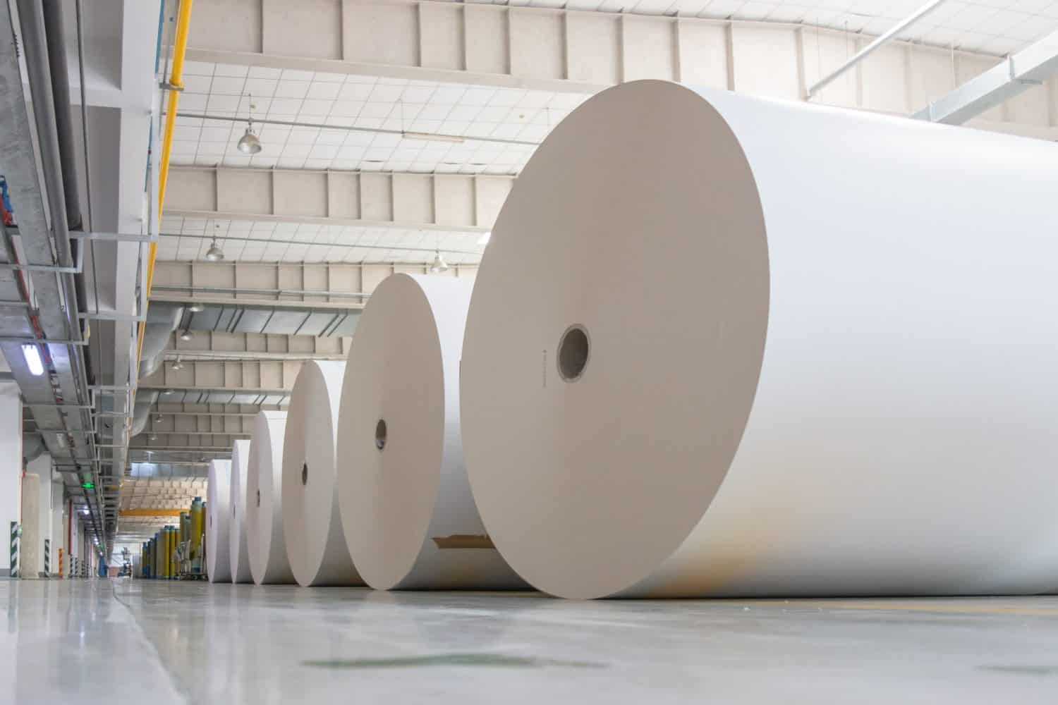 Huge Paper Rolls Placed in the Warehouse Waiting For Use