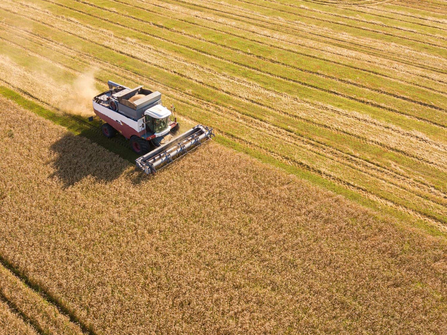 Aerial view of combine on harvest field in Russia. Aerial drone shot.