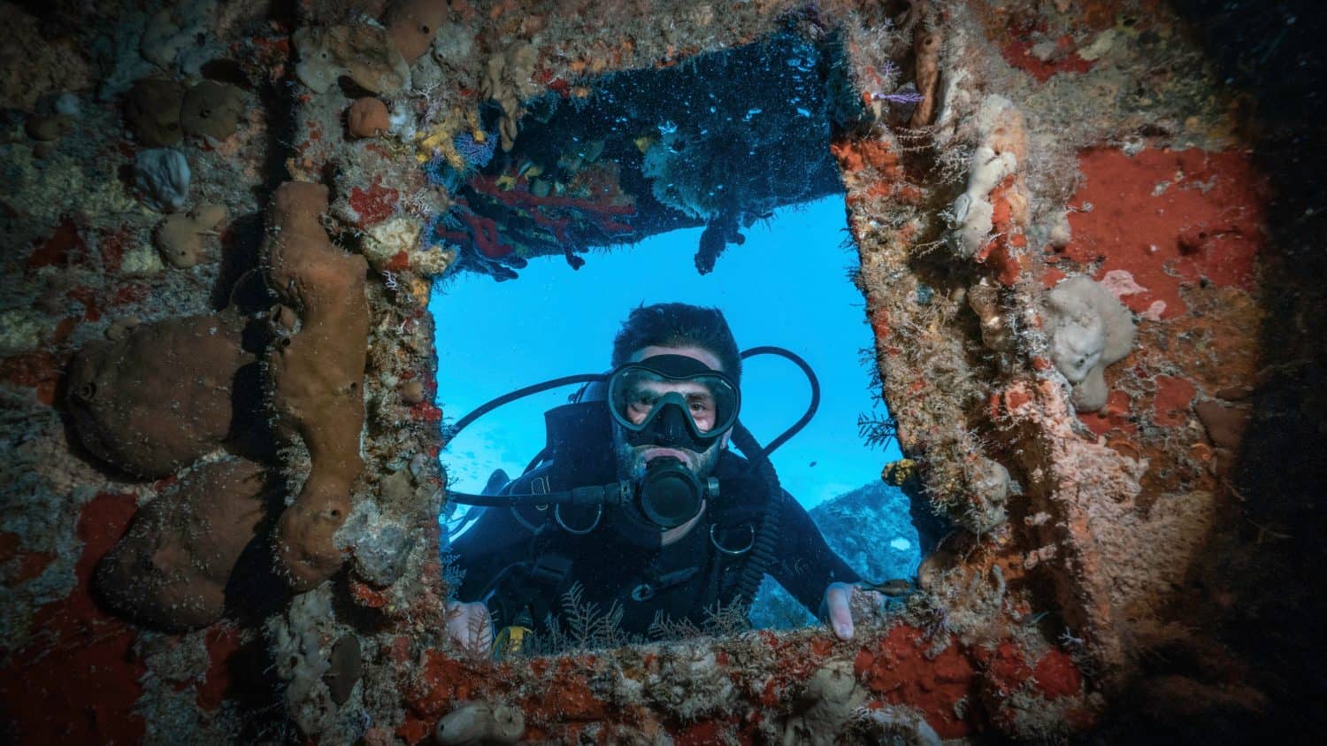 scuba diver posing in a window full of corals in a shipwreck