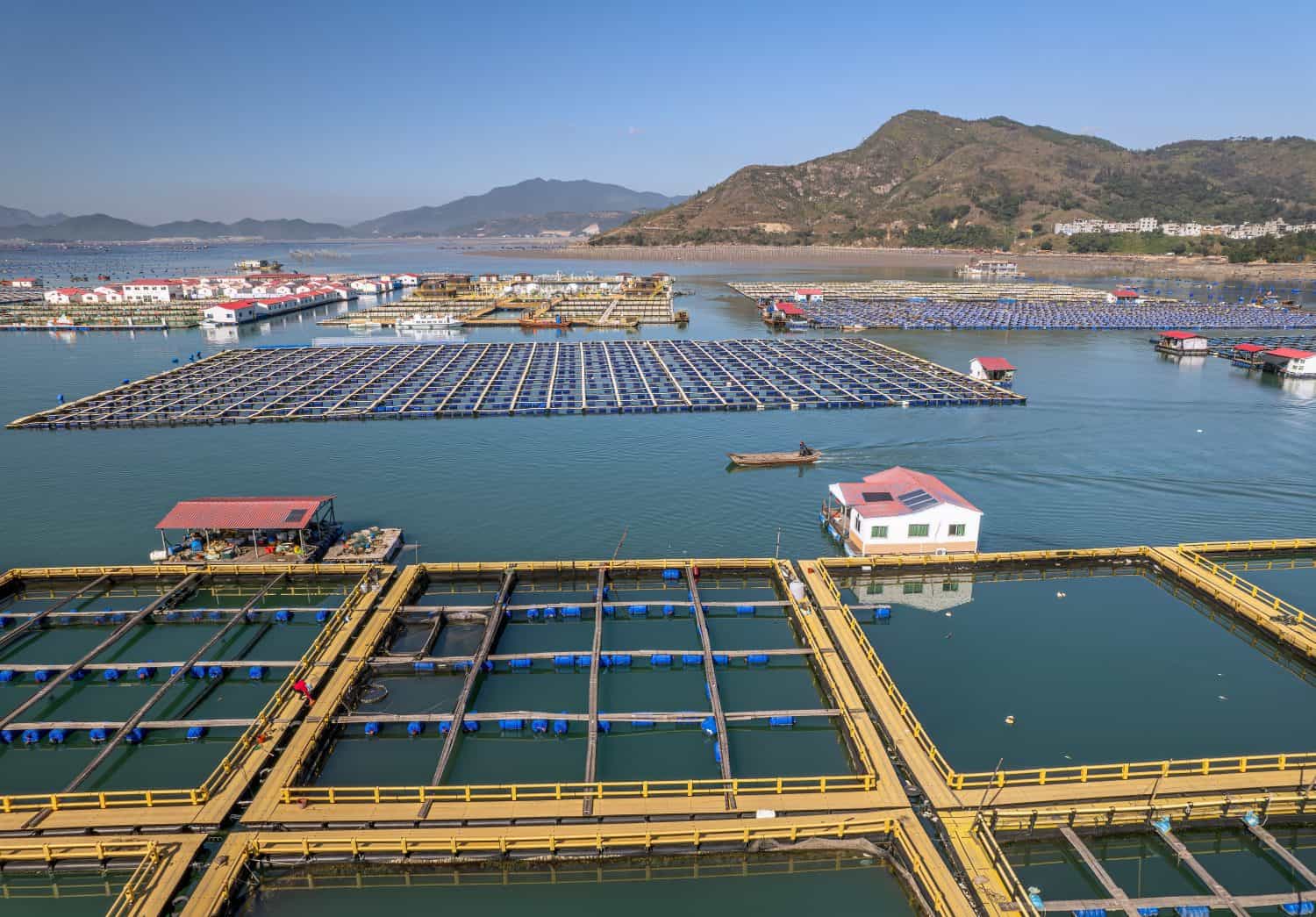 Aerial View of the sea fish farm cages and fishing village in XiaPu, FuJian province, China.