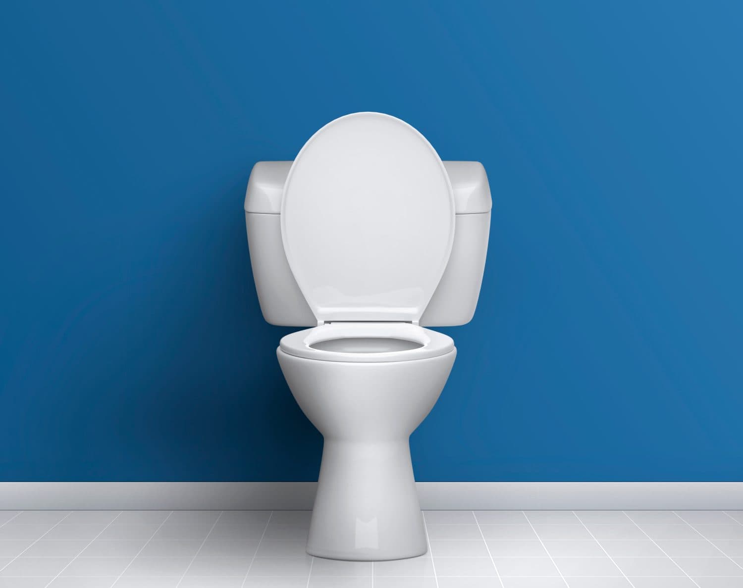 Ceramic toilet bowl near blue wall