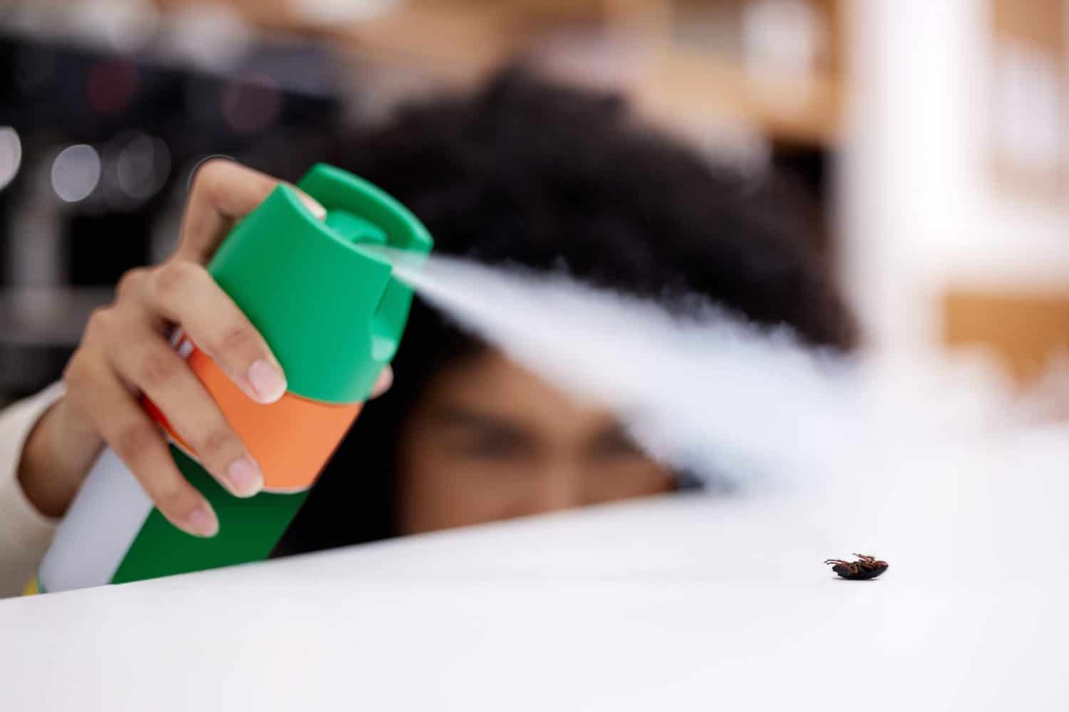 Spray, insect and hand of woman in kitchen killing bug for hygiene, safety or cleaning at home. Cockroach, table and female person spraying bottle of repellent mist for housekeeping at apartment.