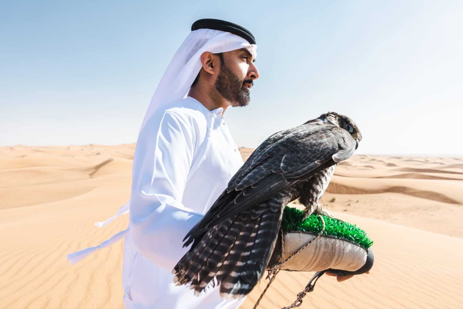 Middle-eastern man wearing traditional emirati arab kandura in the desert and holding a falcon bird - Arabian muslim adult person at the sand dunes in Dubai