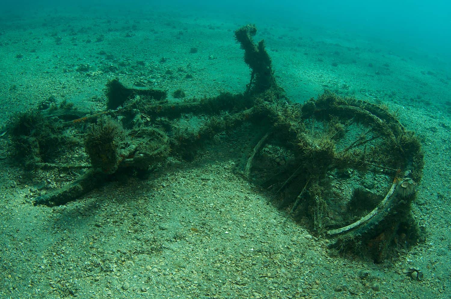 Bicycle left underwater as an impromptu artificial reef, picture taken under the Blue Heron Bridge, in the intercoastal waterway of Palm Beach County, Florida.