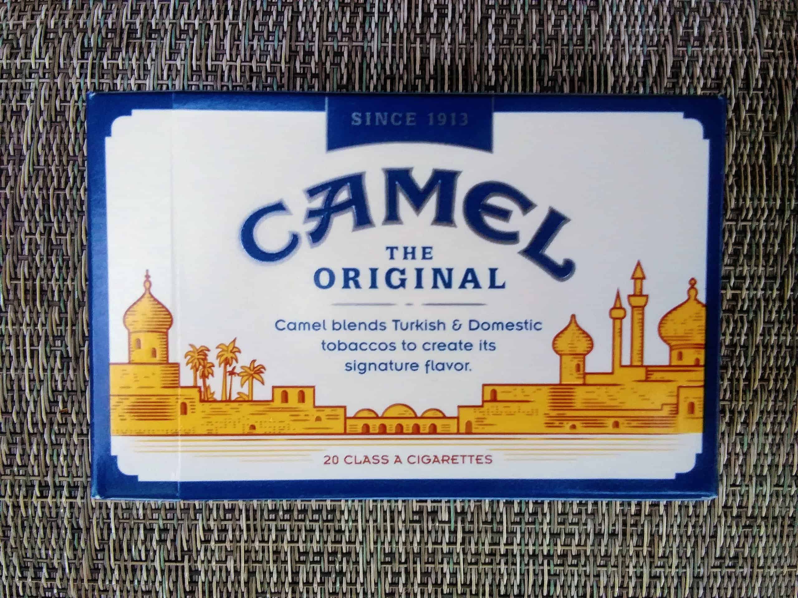 Camel