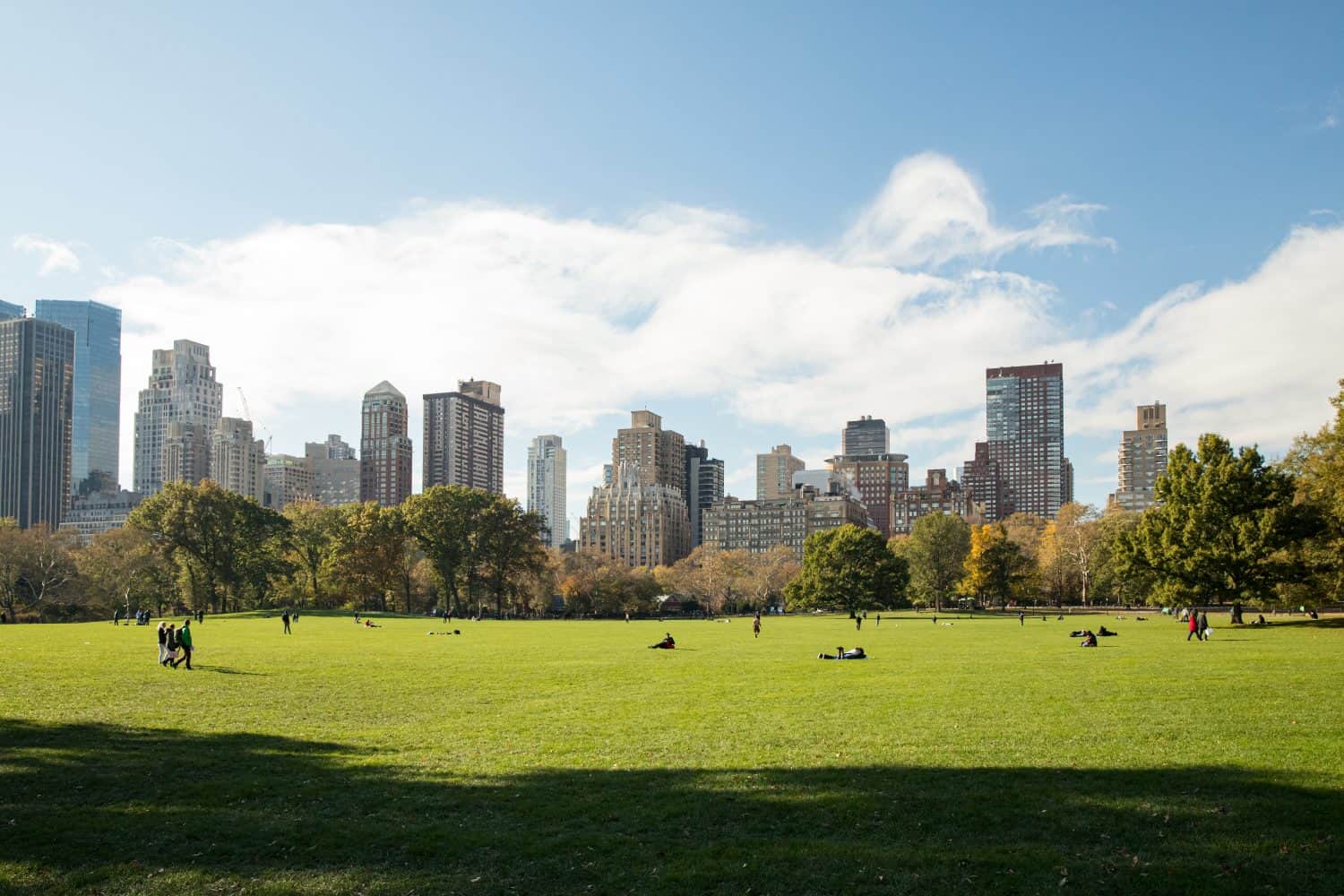 CENTRAL PARK IN NEW YORK CITY, BEAUTIFUL VIEW OF HIGH NYC SKYSCRAPERS AND GREEN PARK AREA IN SUN LIGHT