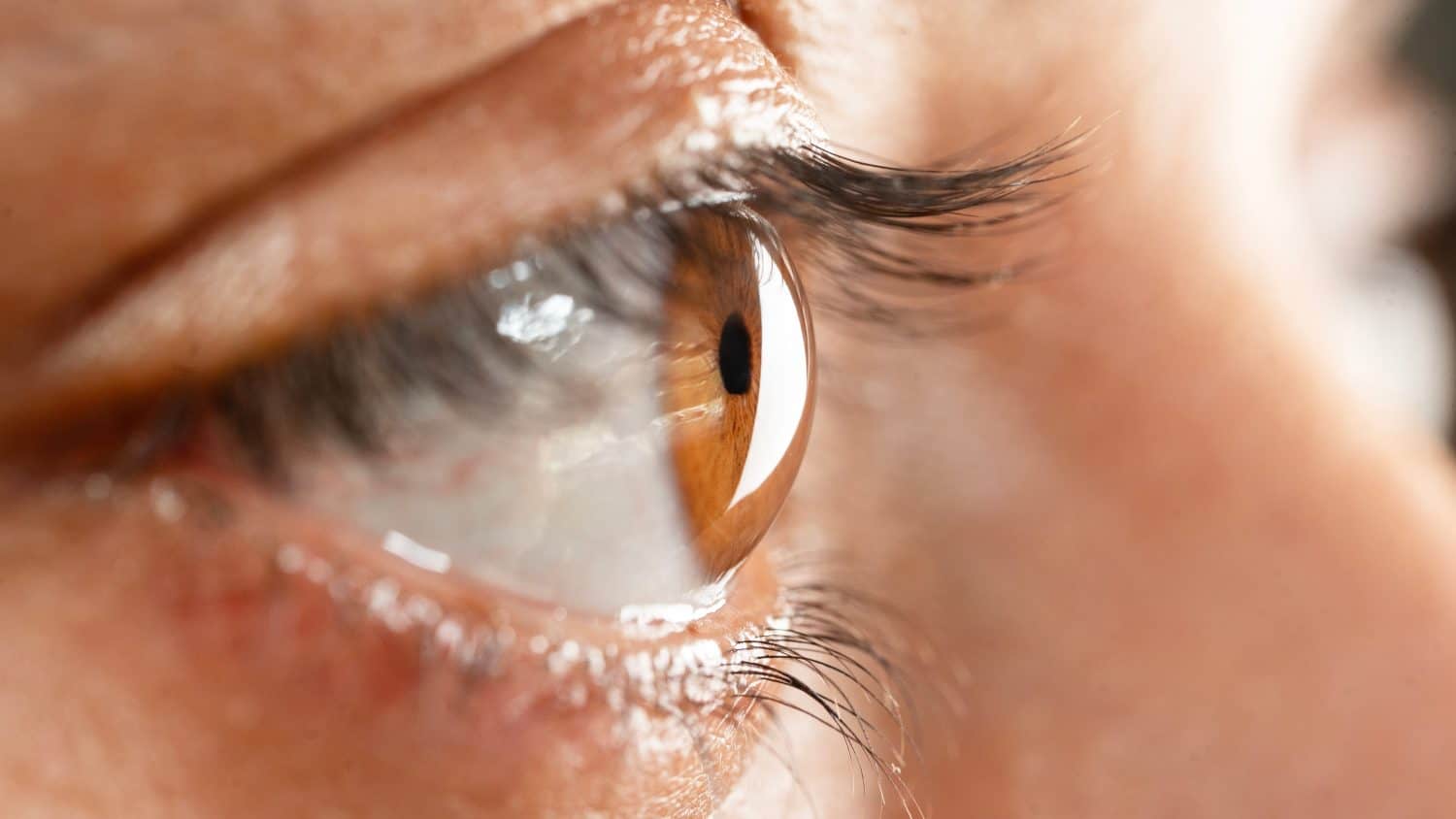 Macro shot of female eye