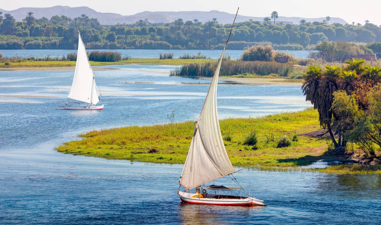 White sailing Felucca sailboats on River Nile, Aswan, Egypt