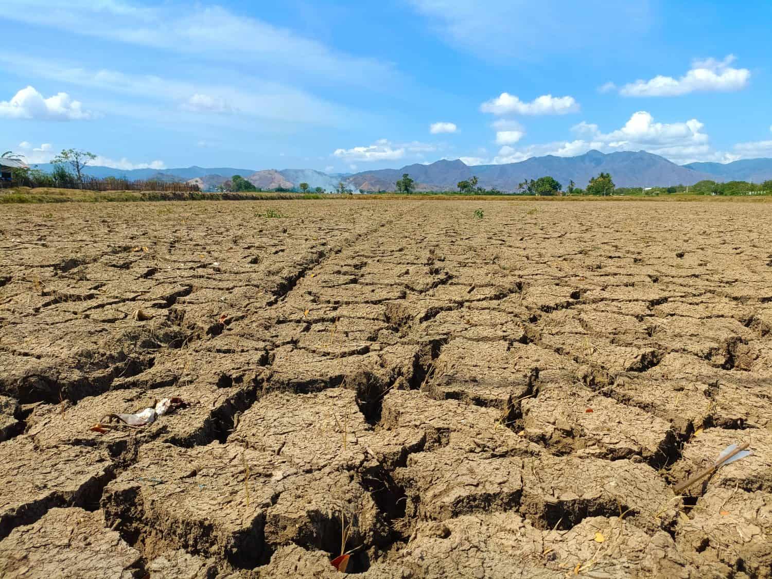 Close-up of a parched, cracked earth surface illustrating severe drought and arid conditions. Ideal for concepts related to climate change, environmental issues, desertification, and water scarcity