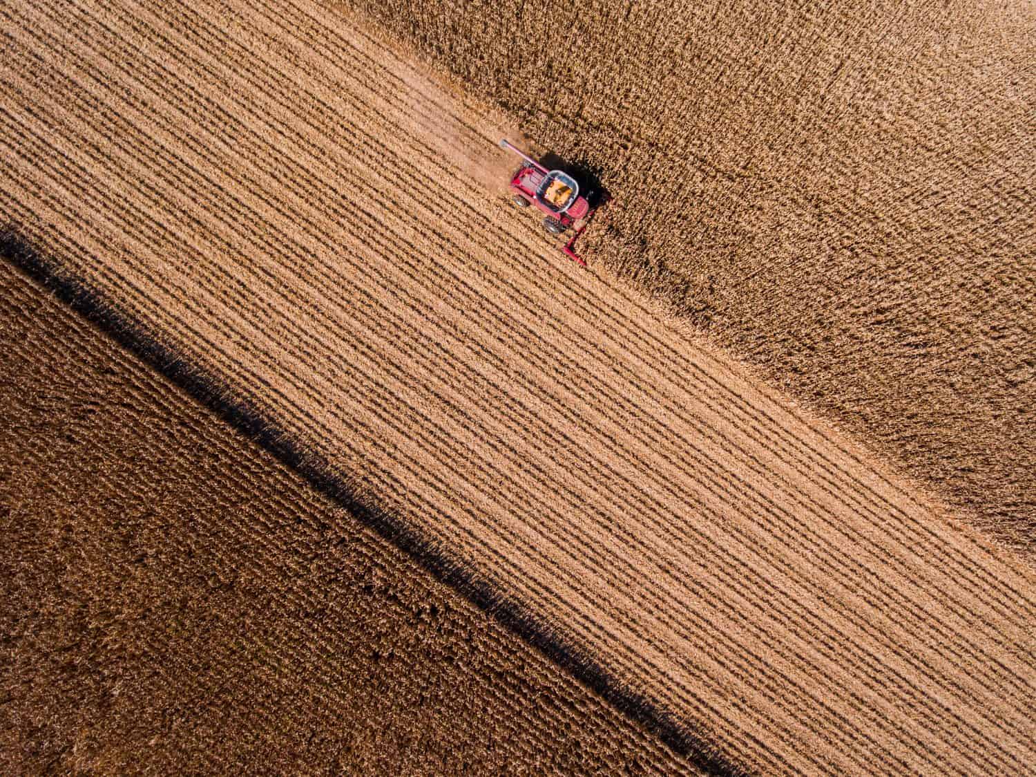 Farming corn in the midwest