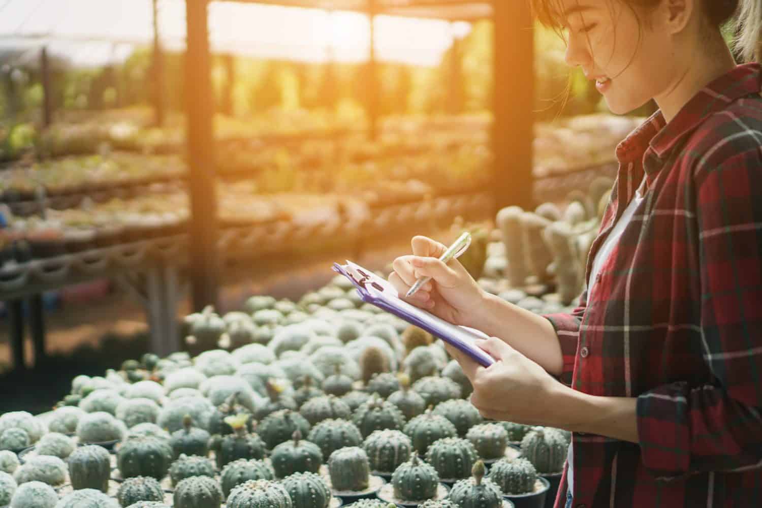 Beautiful smart farm. Enjoy maintaining agriculture the growth of the cactus from the seeds on the farm of desert tree.