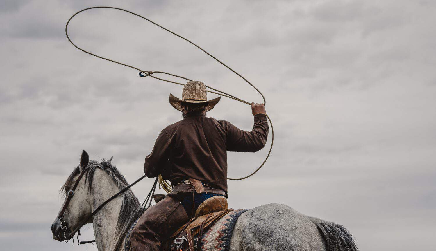 Cowboy roping on a grey horse