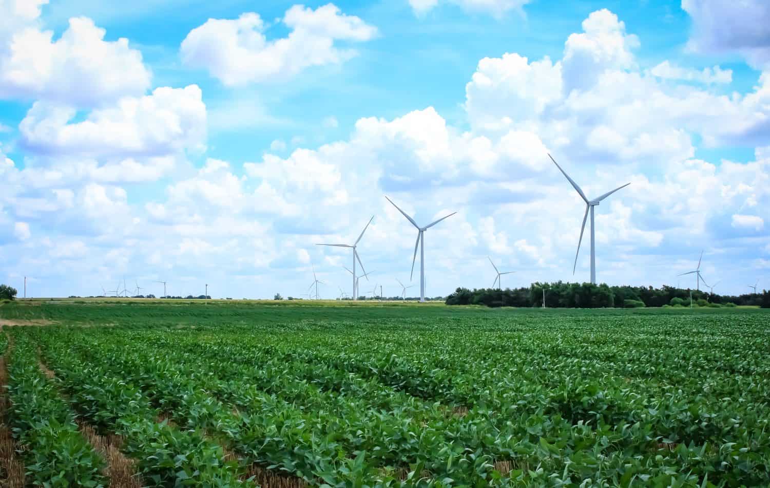 Some windmills in a farmer&#039;s field on a summer afternoon in Oklahoma