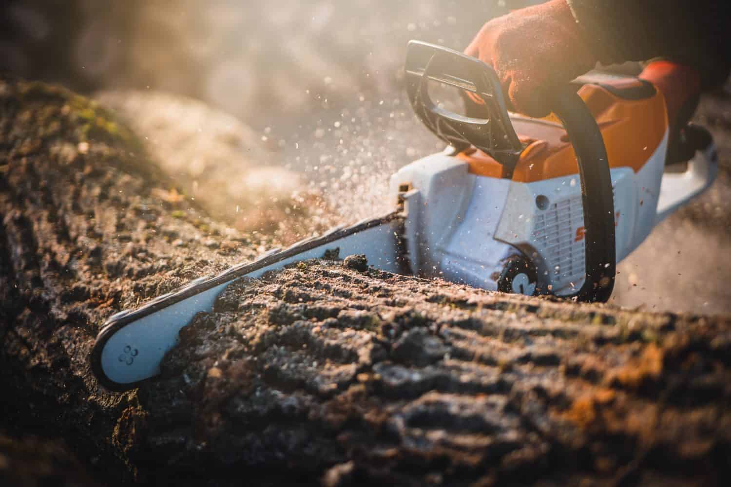 Cordless Chainsaw. Close-up of woodcutter sawing chain saw in motion, sawdust fly to sides. Chainsaw in motion. Hard wood working in forest. Sawdust fly around. Firewood processing.