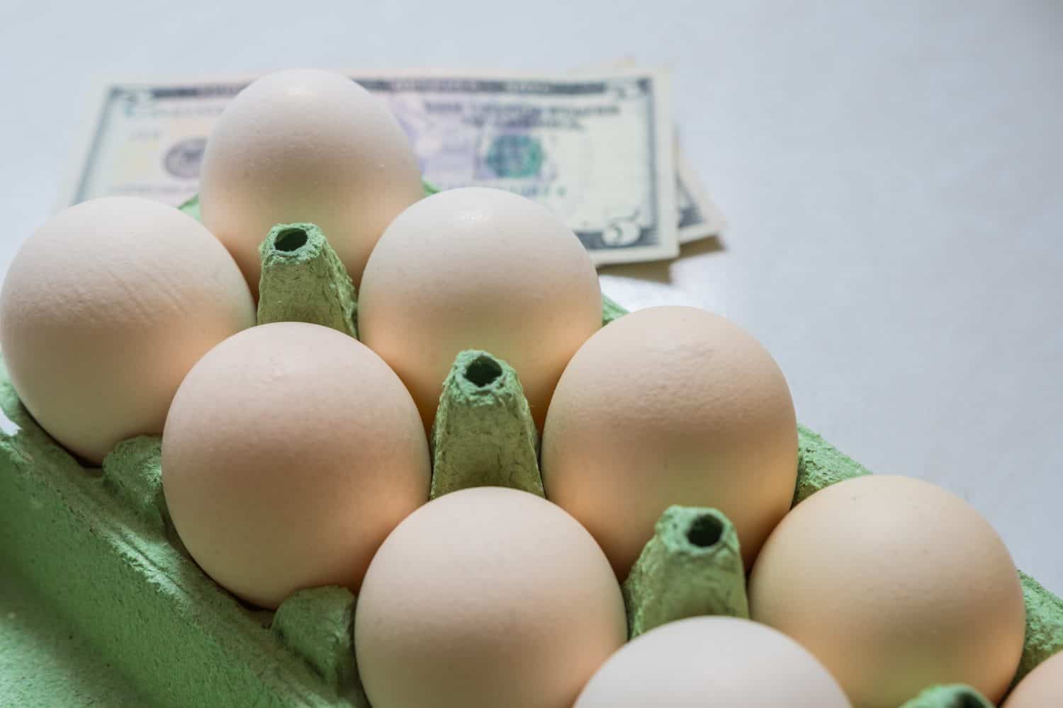 White eggs in green paper container with blurred money on a white background. Egg price increase concept.