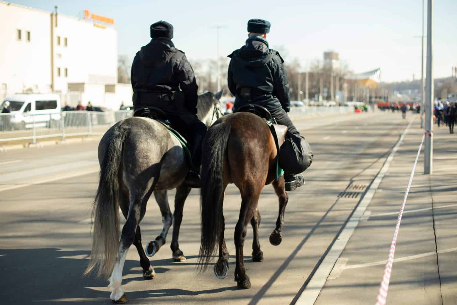 Police officers on horseback. Mounted police will patrol street. Horses gallop down road. Law enforcement in city.