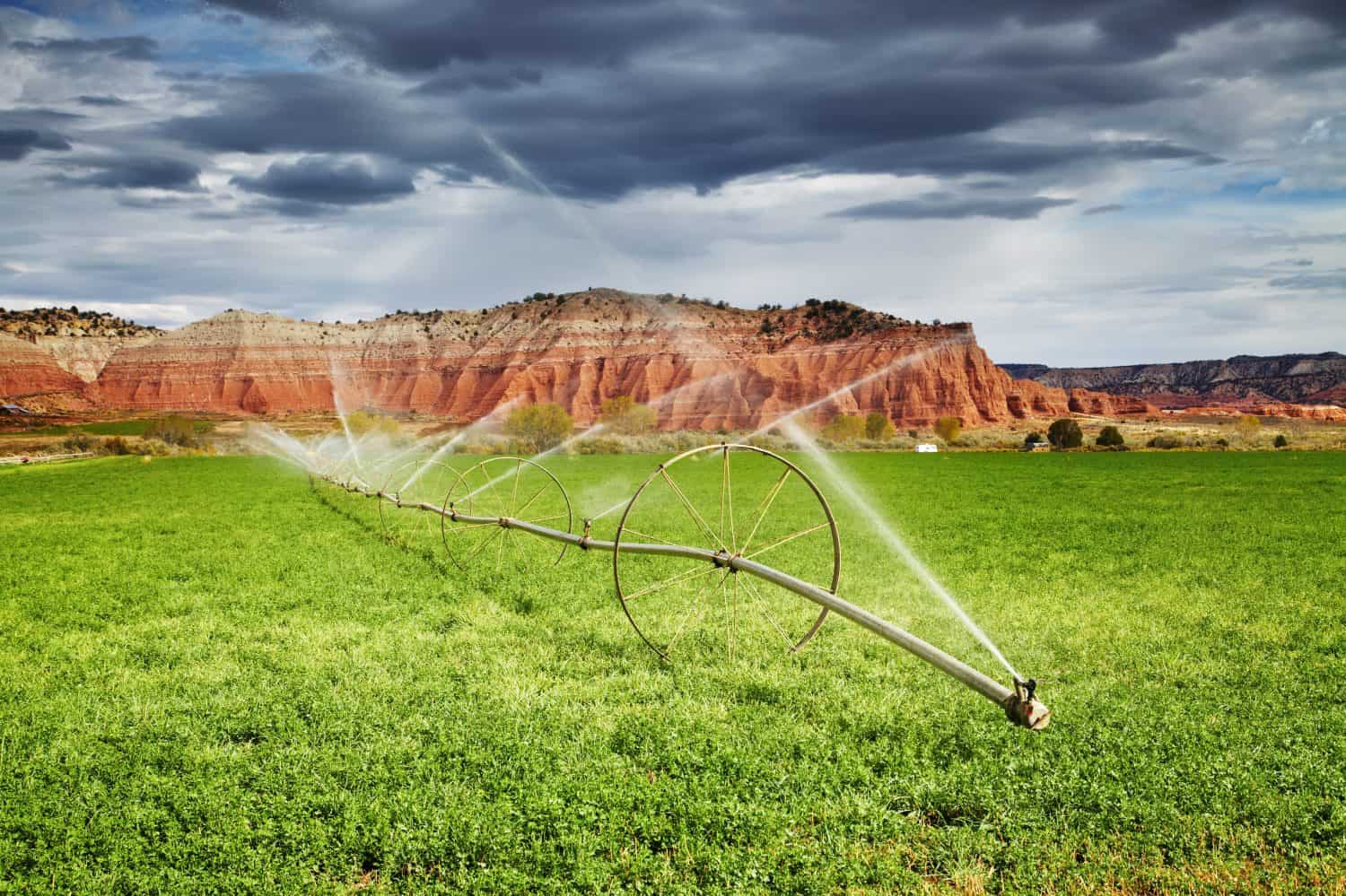 Irrigated agriculture in desert, farm in Utah, USA