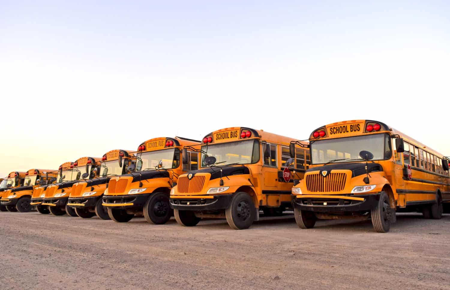 Rows of school buses parked in a lot ready for the academic year.