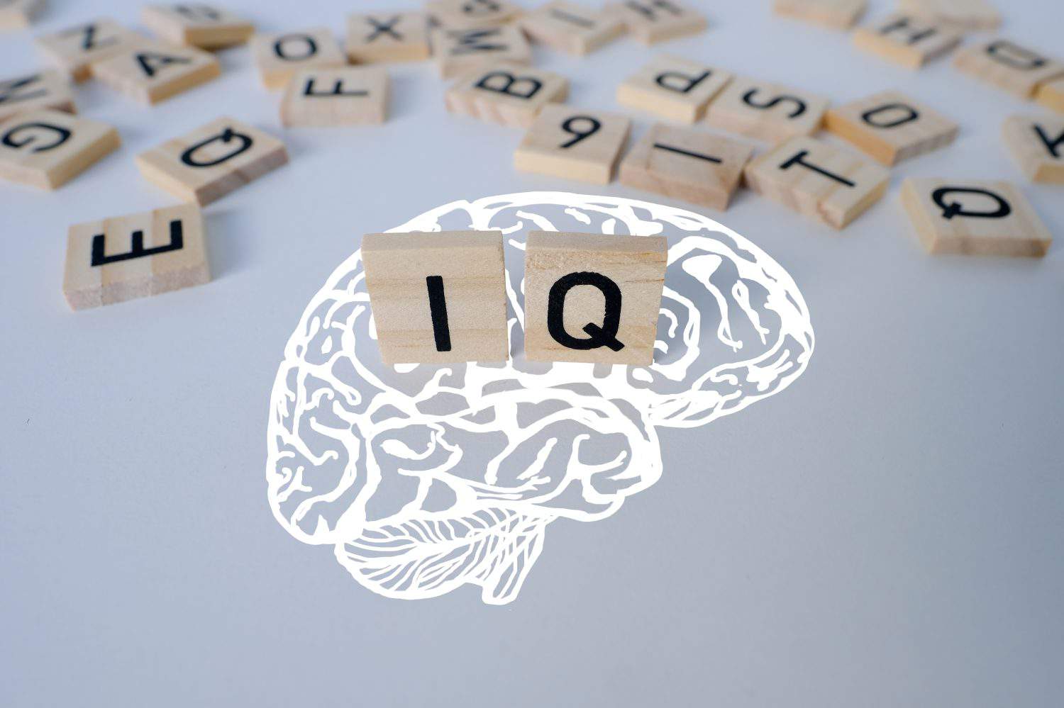 silhouette of brain, word IQ, wooden letters, intelligence quotient on wooden background, quantitative indicator expressing success, concept of concept of level of mind, intellectual achievements