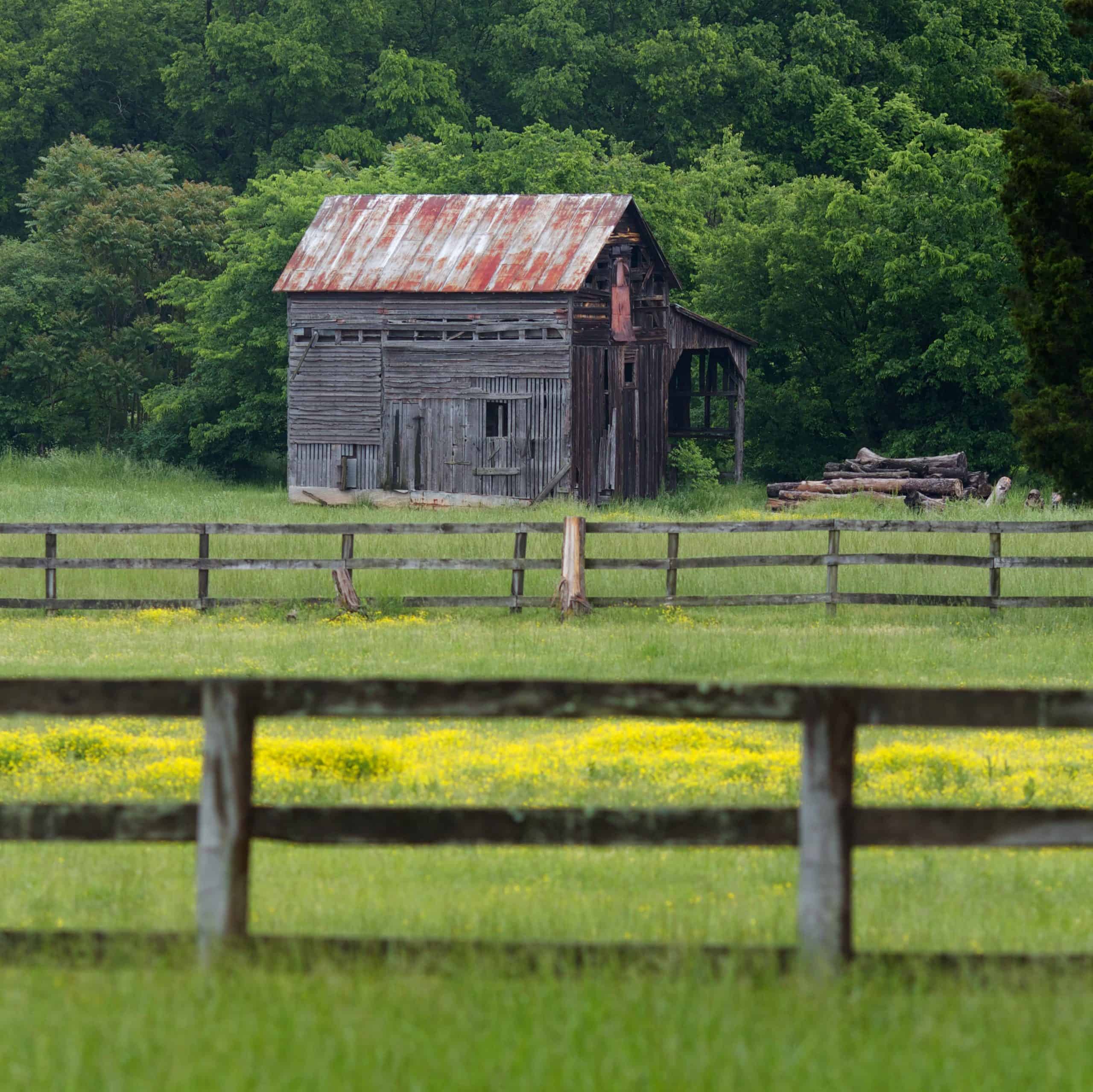 Bristoe Station Landscape by Rob Shenk