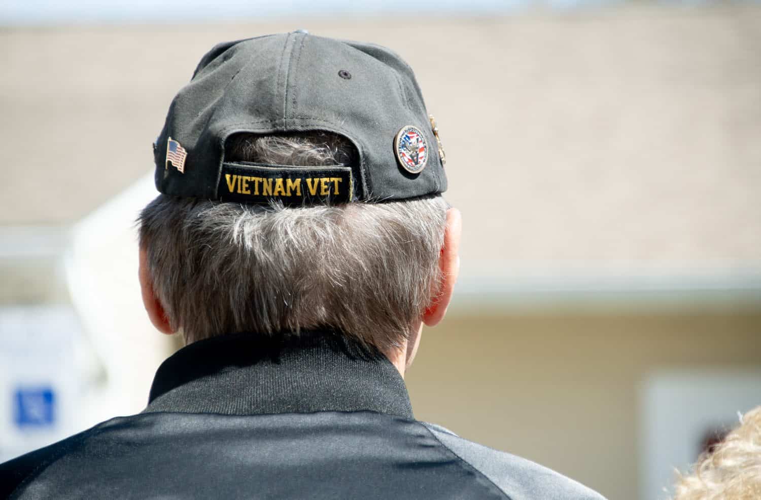 Unrecognizable mature Caucasian male with gray hair wearing a faded hat reading "Vietnam Veteran" and adorned with military pins from behind. No face visible and copy space to the right.