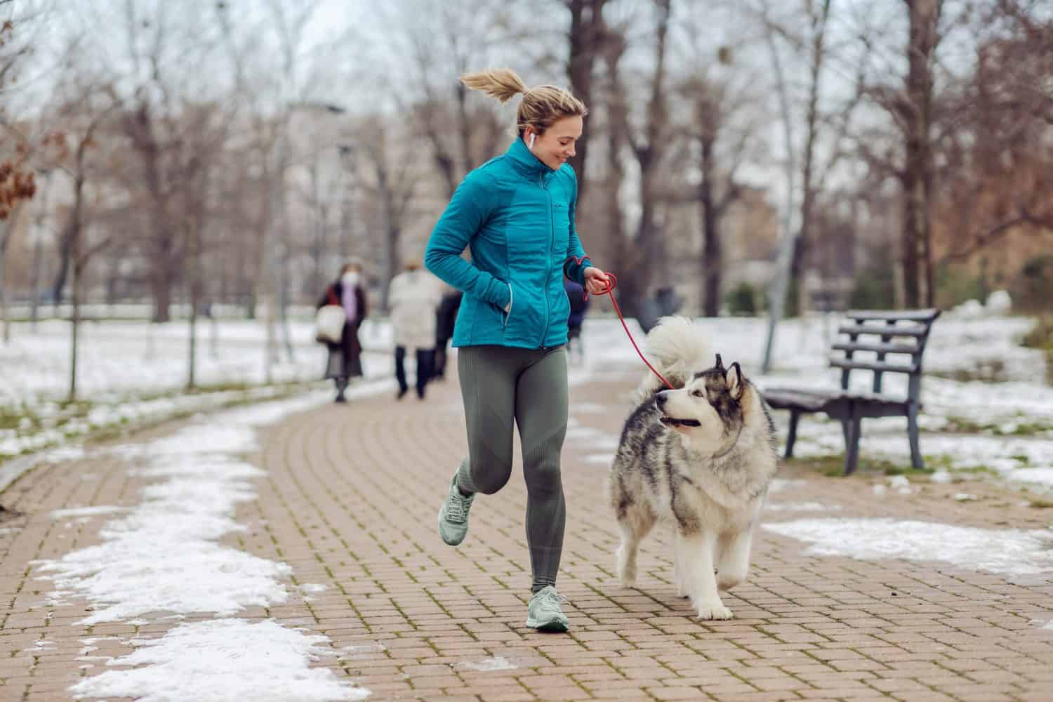 Sportswoman jogging together with her dog in park on snowy weather. Winter fitness, pets, friendship