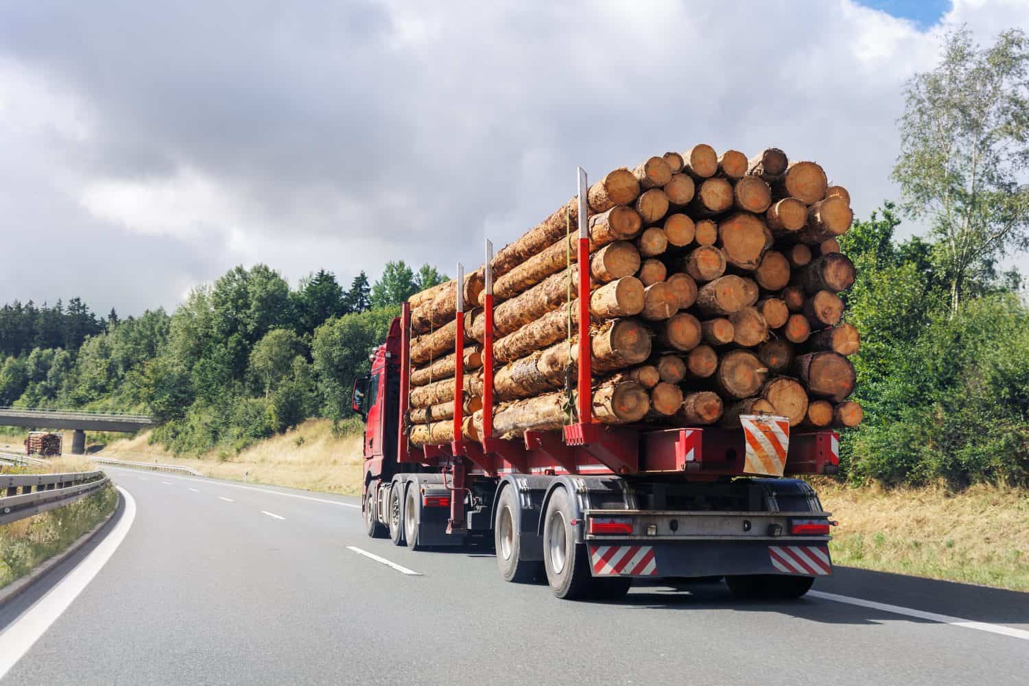 Back view many long heavy industrial wood carrier cargo vessel truck trailer with big timber pine, spruce, cedar driving on highway road with blue sky background. Timber export and shipping concept