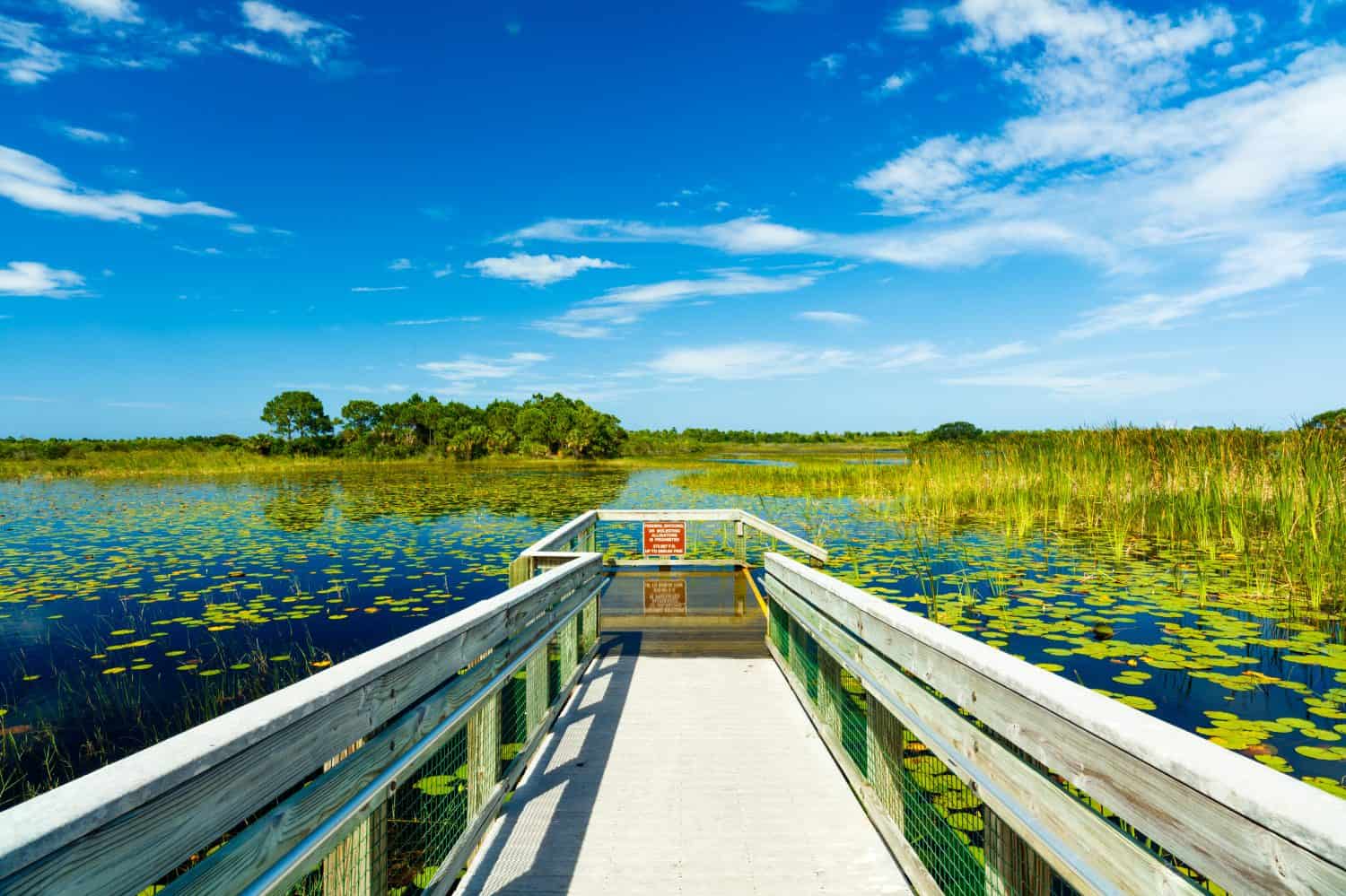 Beautiful nature preserve in Port Saint Lucie Florida.