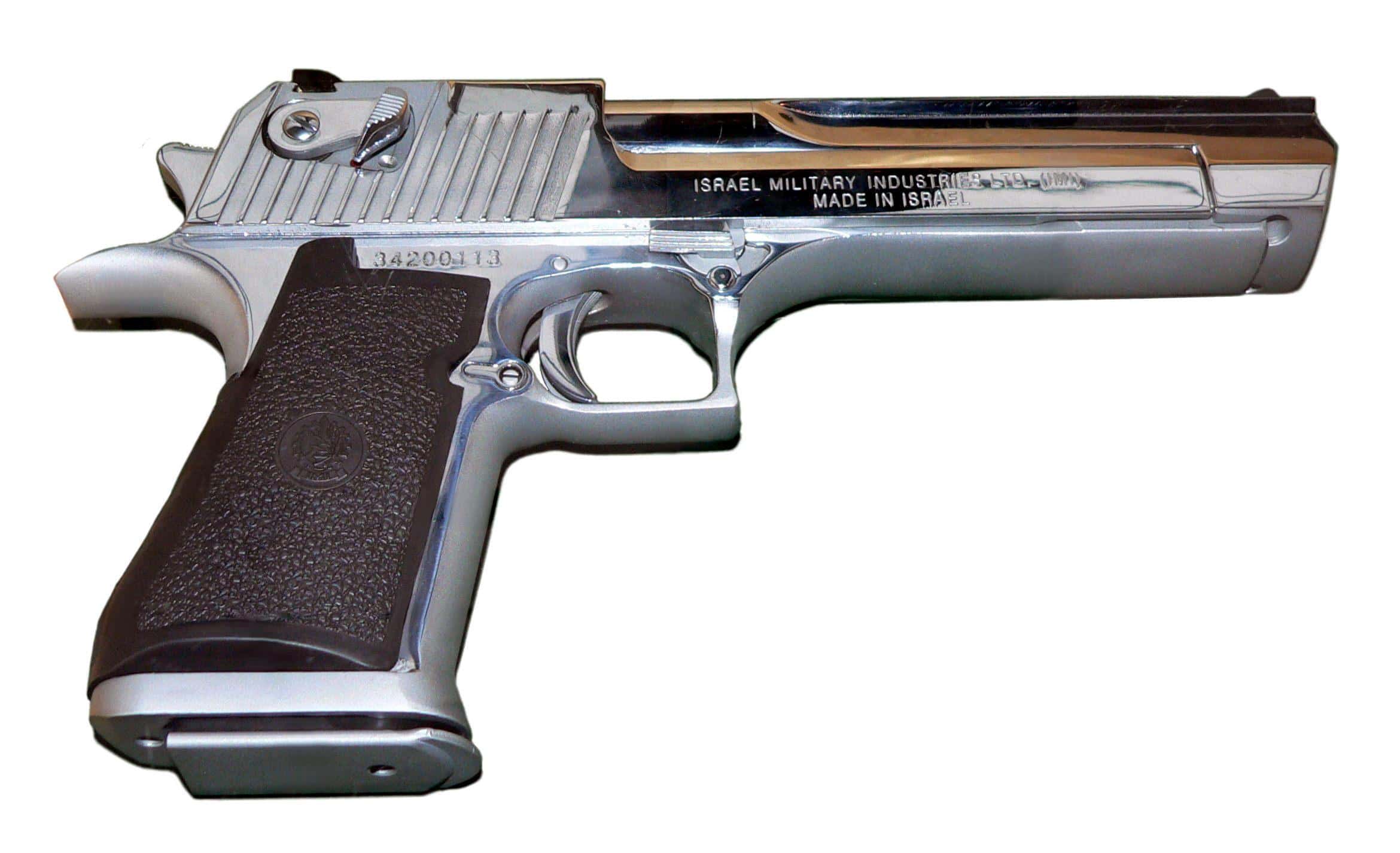 Desert-Eagle-p1030134 by Rama
