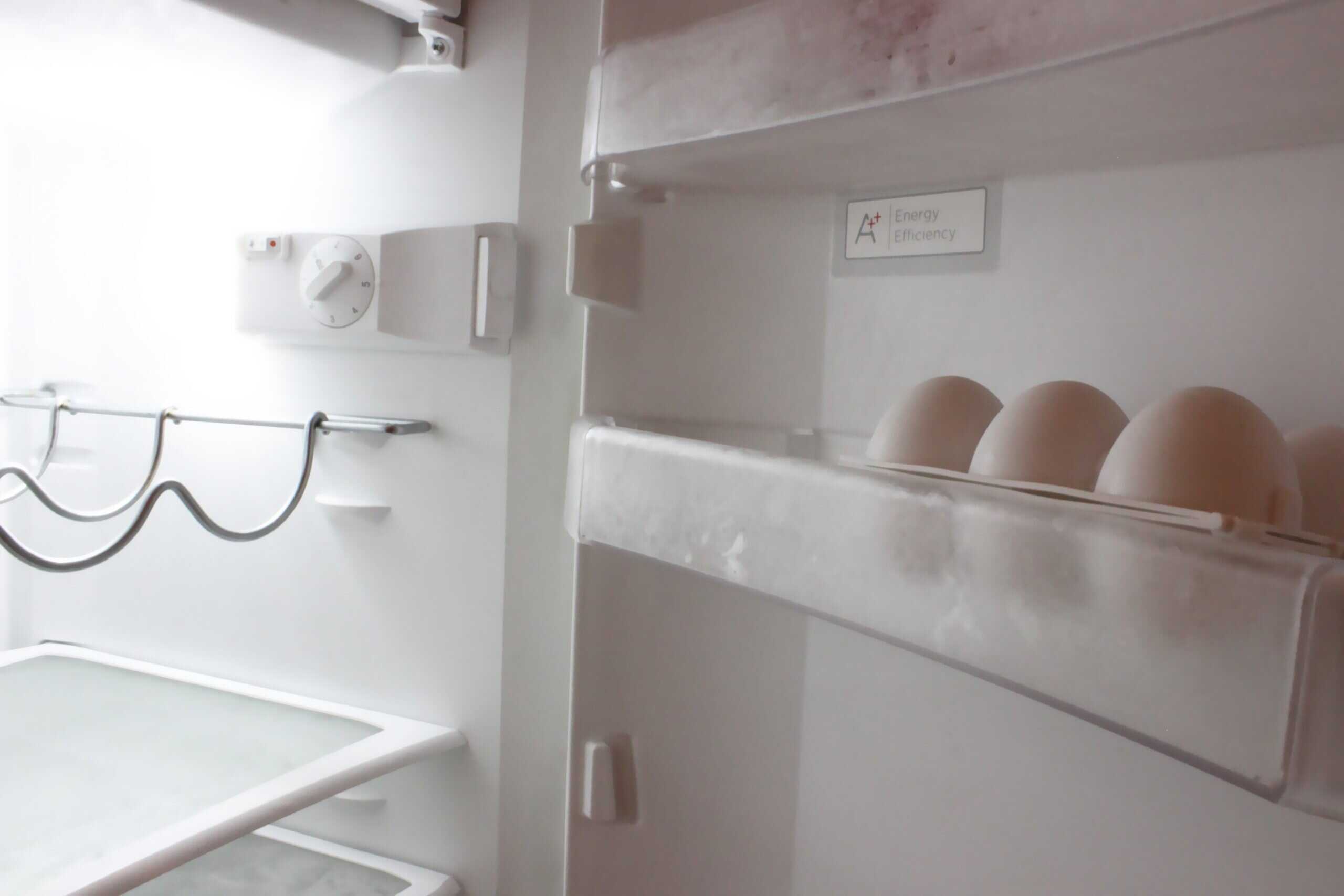 Inside a refrigerator eggs compartment