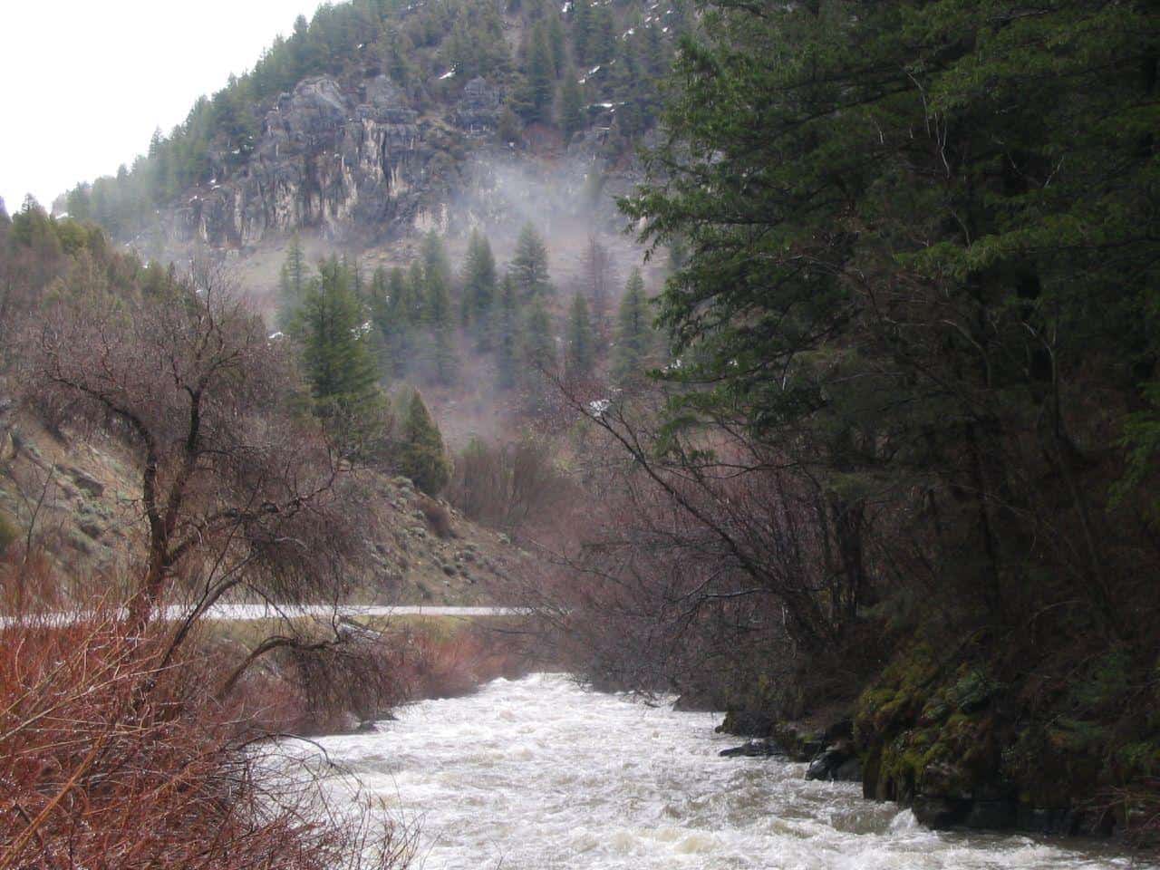 Logan River, U.S. Route 89 Dri... by Ken Lund