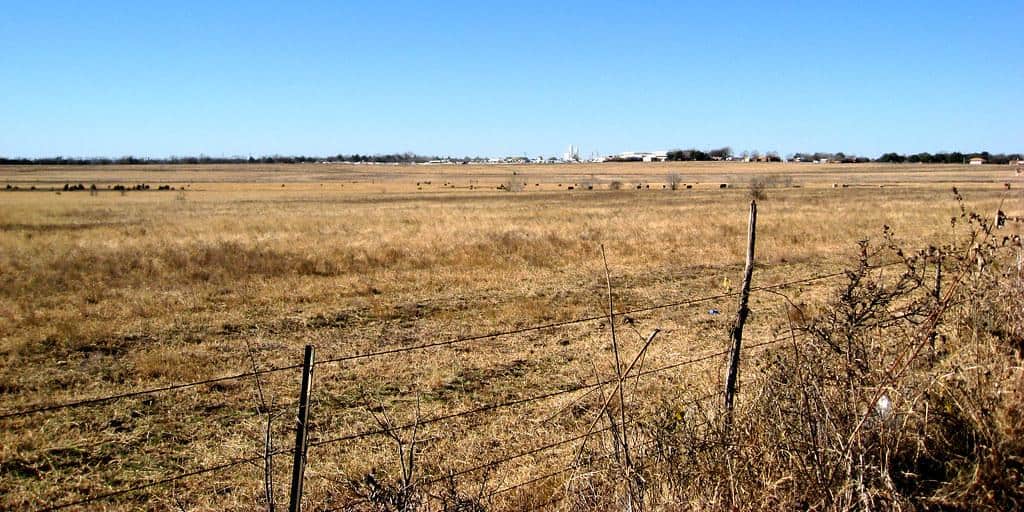 Central Texas Field by Staeiou