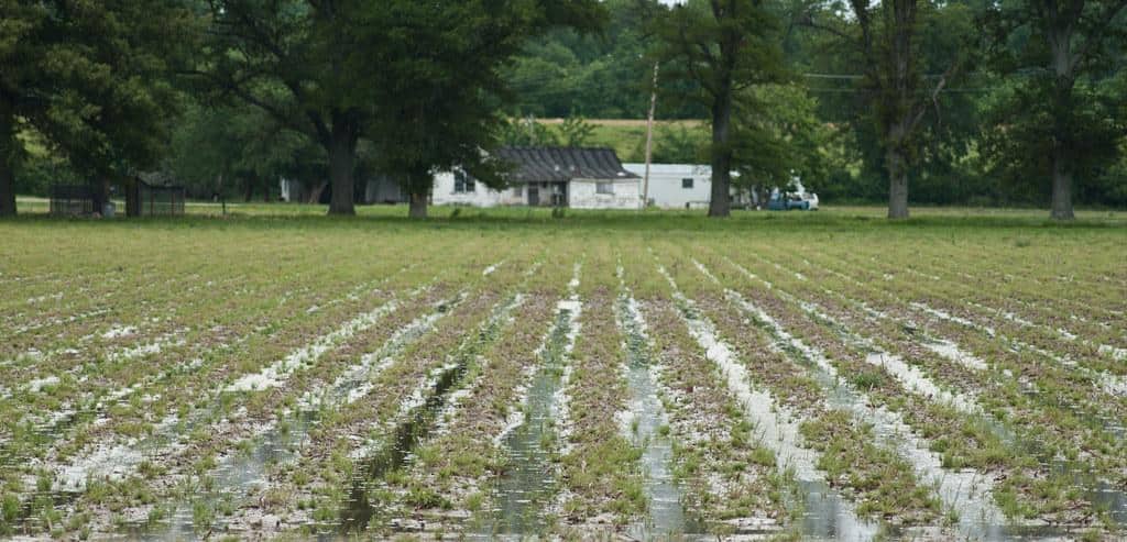 20110515-NRCS-LSC-0402 by USDAgov