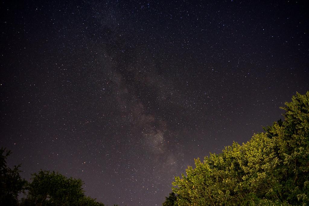 Milky Way over Western Pennsylvania Trees by John Brighenti