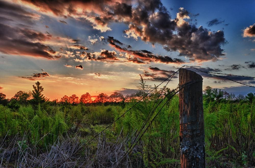 Texas Sunset by Joel Olives