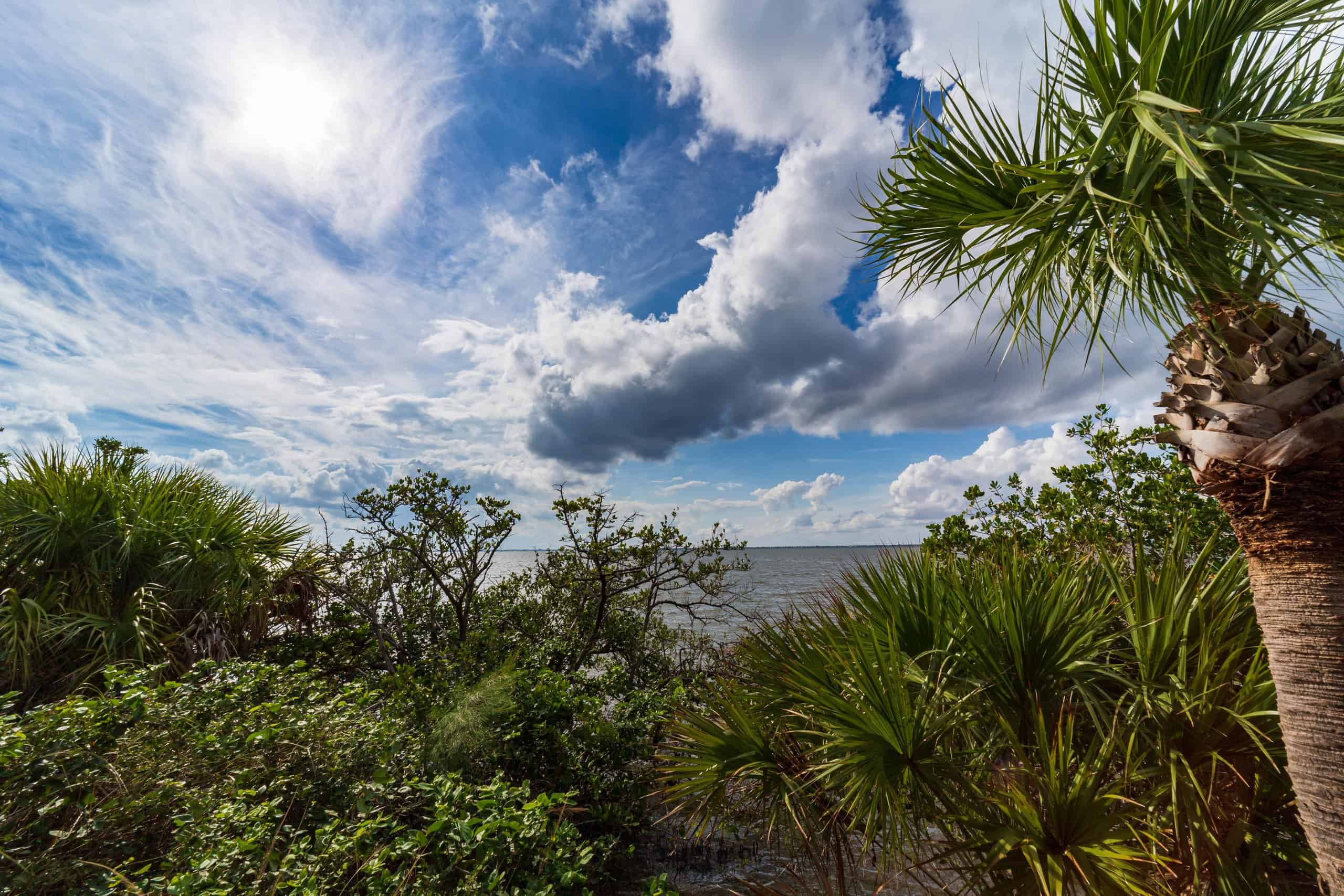 Sunshine State by Andrew Parlette
