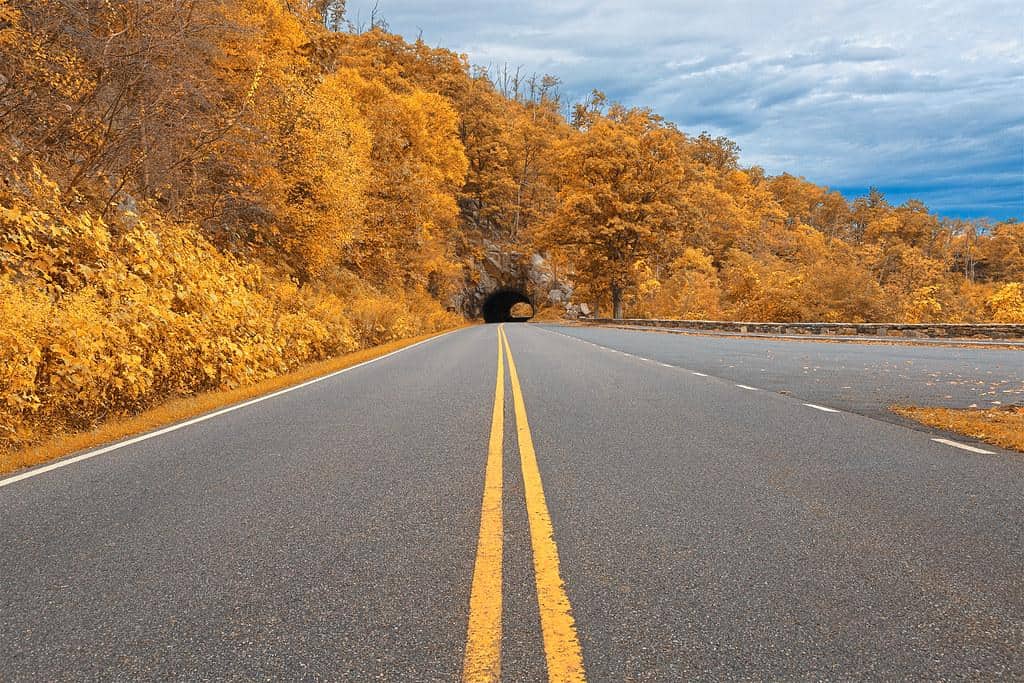 Shenandoah Skyline Drive - Autumn Gold by Bold Frontiers