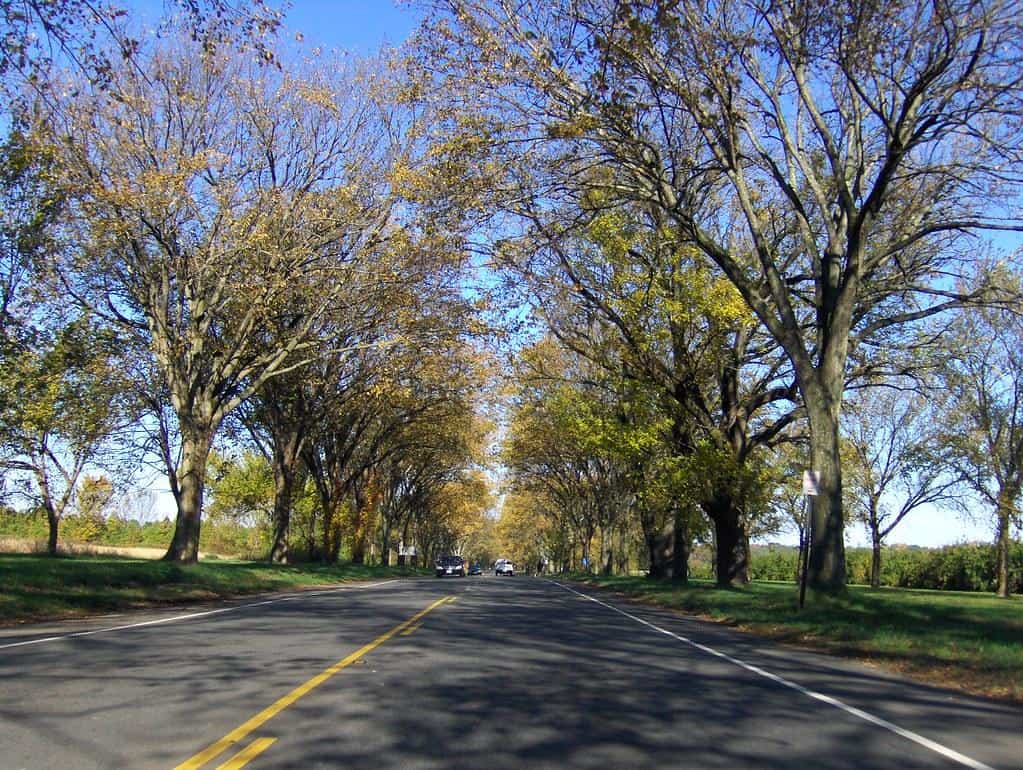 Washington Road by Joe Shlabotnik