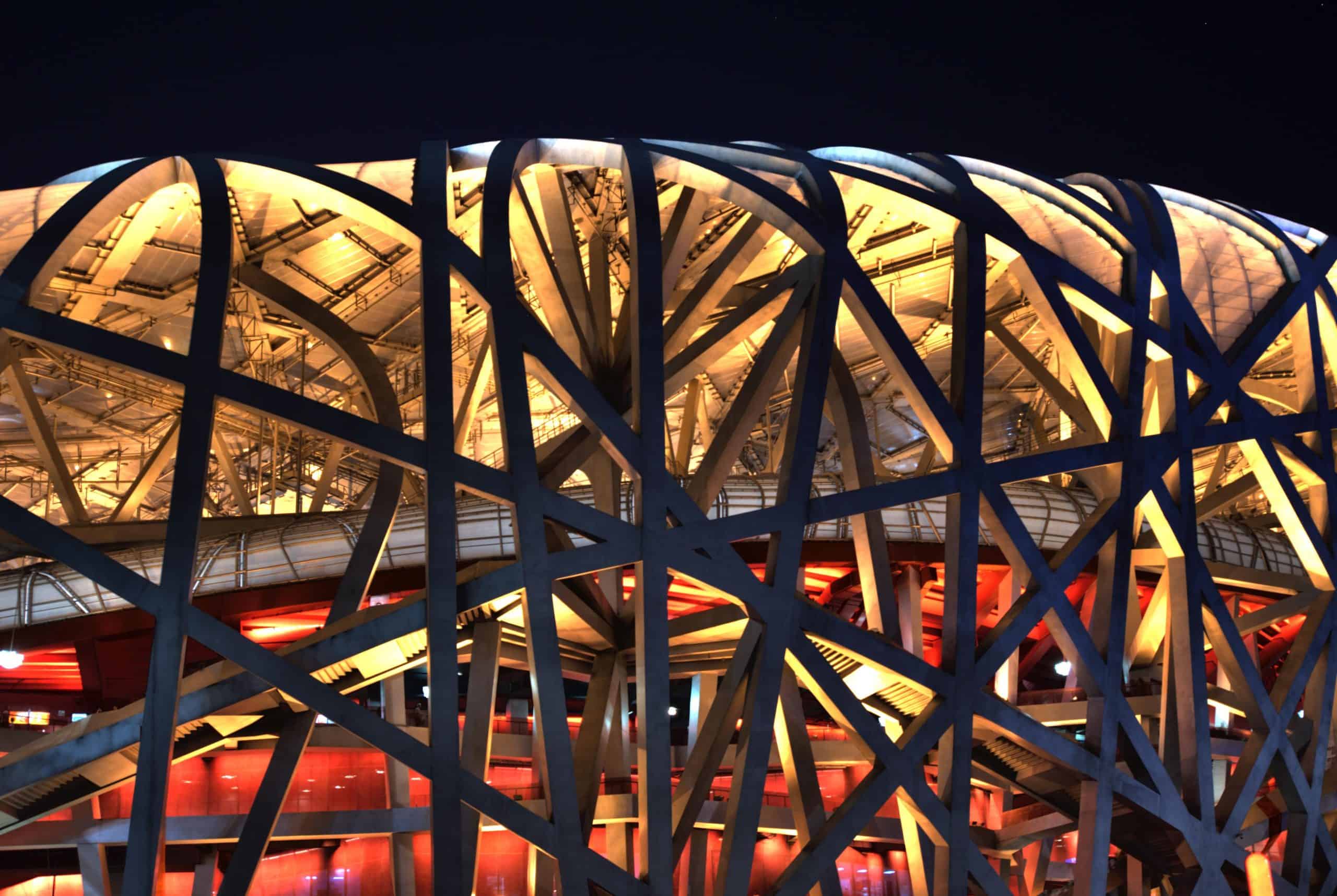 Inside the Nest by Craig Maccubbin