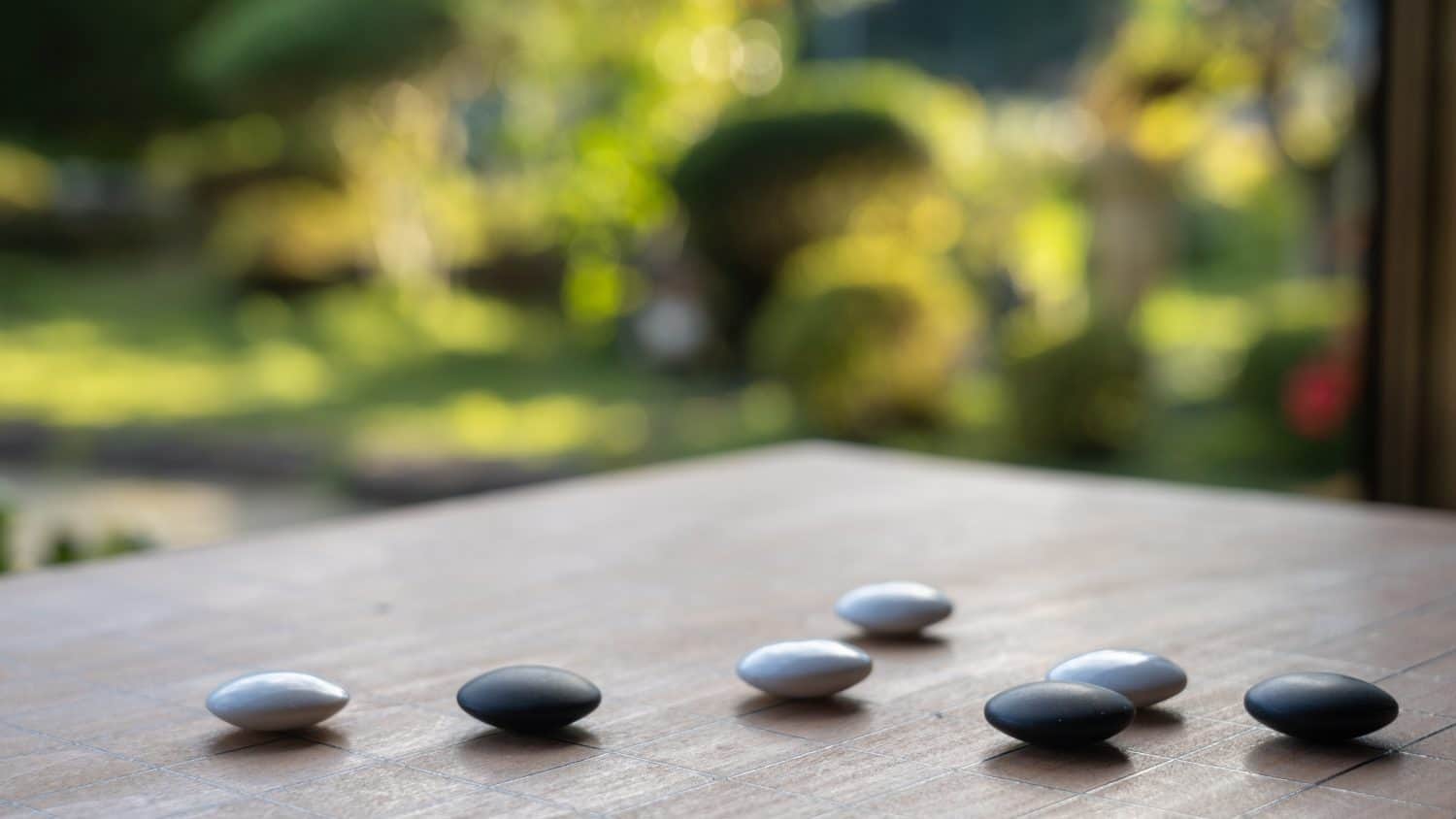 Play the Asian board game "Go".