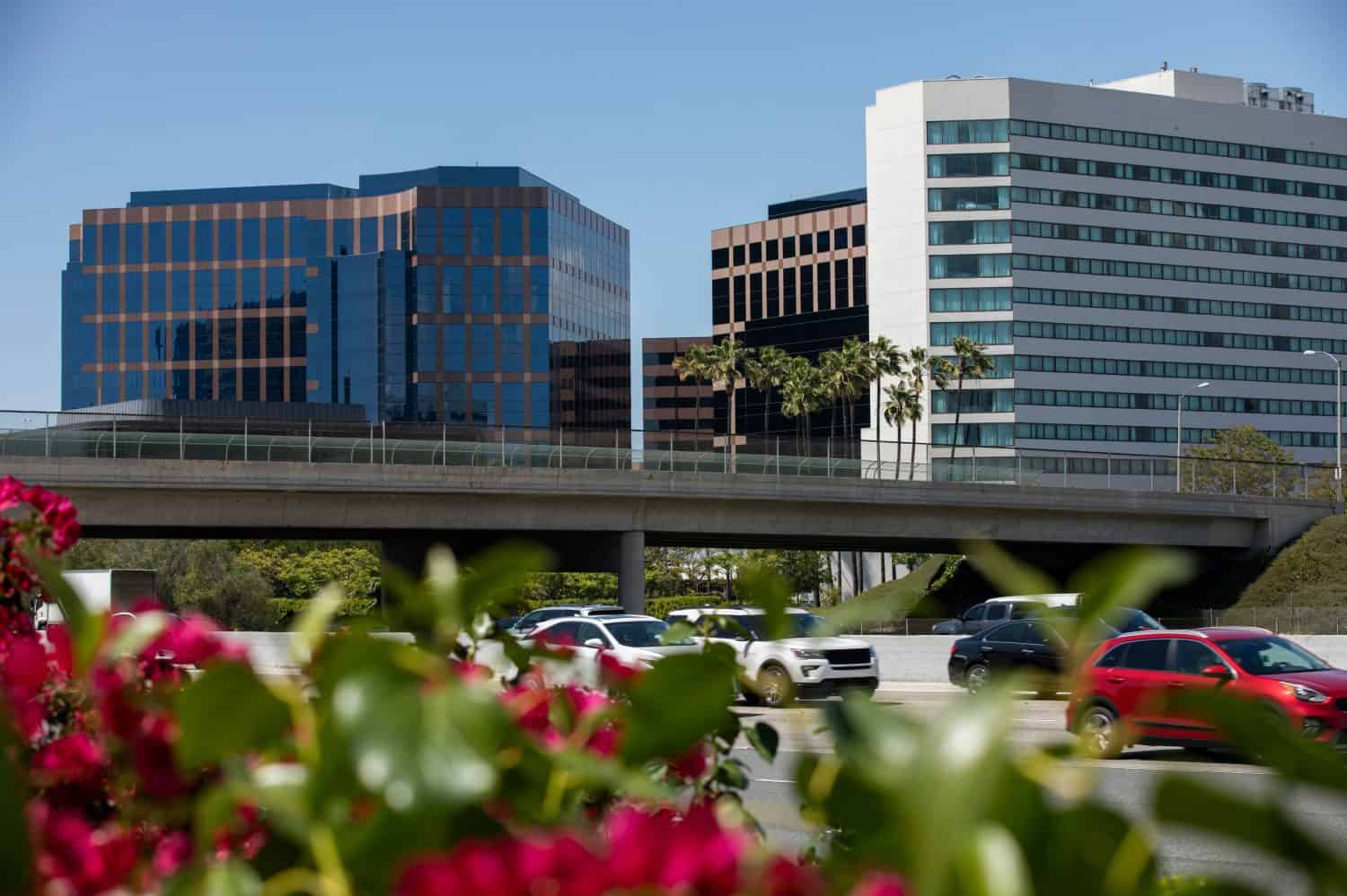 Afternoon sun shines on a palm framed view of the downtown skyline of Irvine, California, USA.