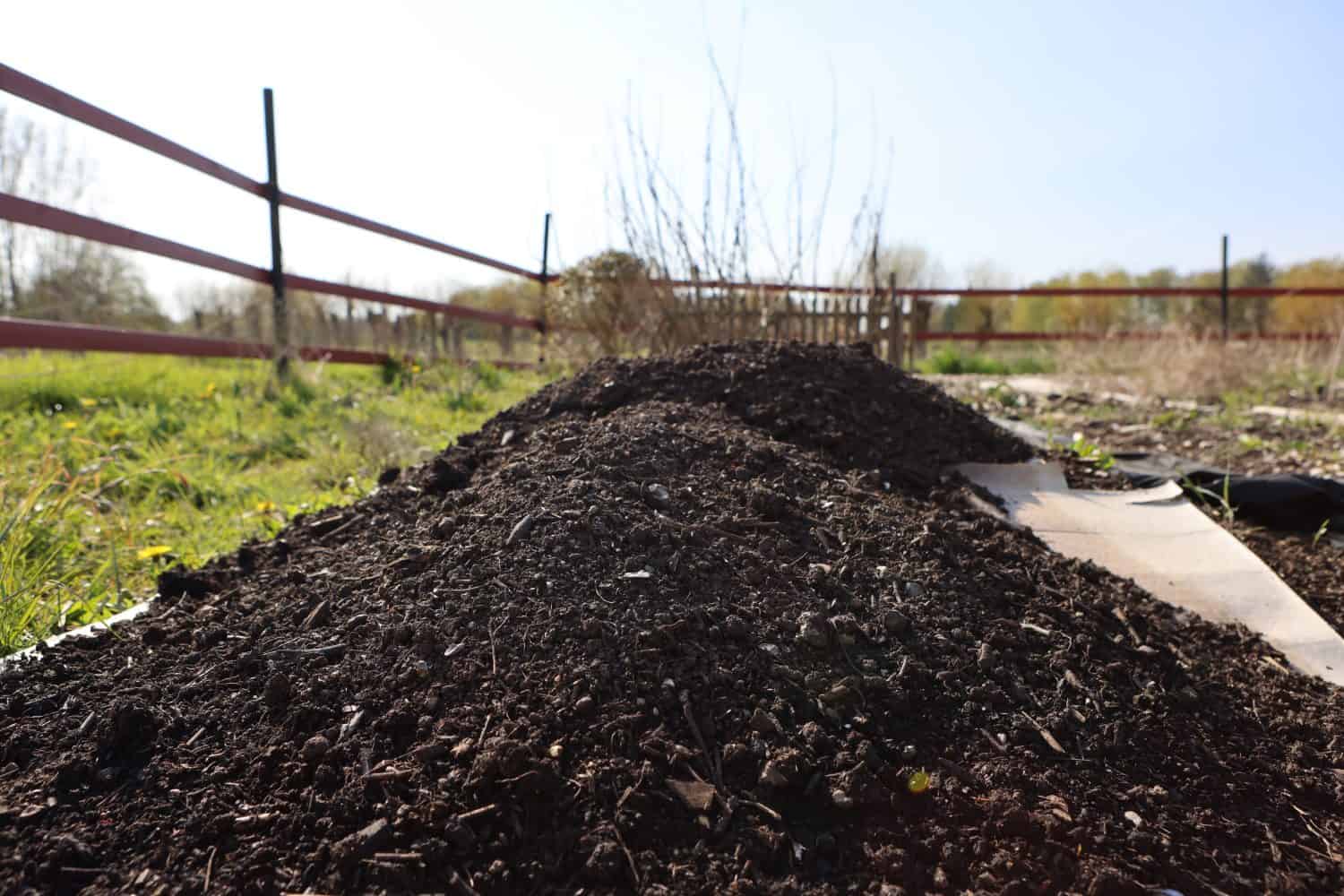 Gardeners are creating these easy no-till garden bed in Spring with a cardboard base layer covered with a thick layer of aged compost perfect for developing nutrient rich soil for planting vegetables.